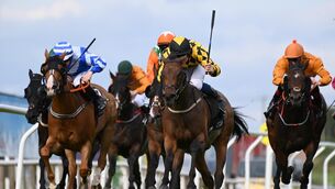 <p>Spirit Of Eagles and Gavin Ryan (yellow &amp; black,centre) win for trainer Michael Grassick from Eruption and Art Of Unity at Down Royal last month. Picture: Healy Racing</p>
