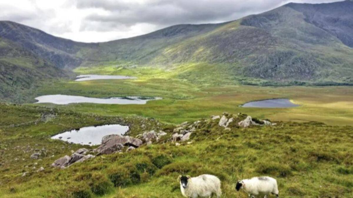 Denis Lehane: Time to 'reclaim' the Conor Pass - Vimarsana News