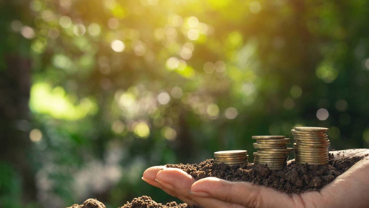 New ways to farm and the big question of how it should all be taxed - Vimarsana News