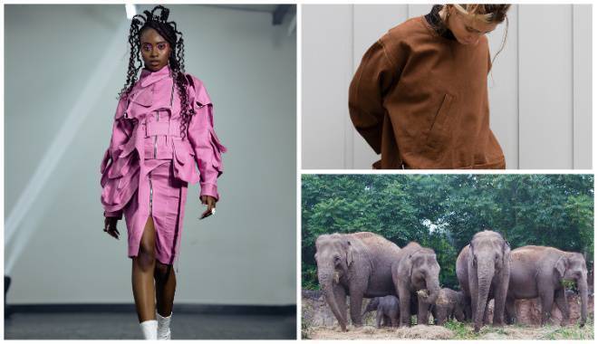 Weekend Loves: World Elephant Day, and new Irish fashion