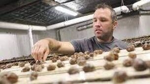 <p>Peter Monaghan, a farmer in Cavan, decided to diversify into snail breeding when he realised his beef herd would not create a viable income on its own.</p>