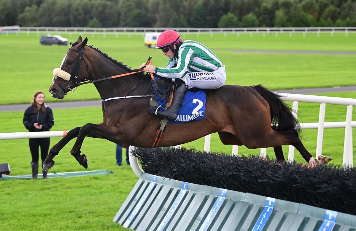 Sherodan &amp; Sean FLanagan jump the last to win the John &amp; Pat Rochford Memorial Maiden Hurdle. Picture: Healy Racing