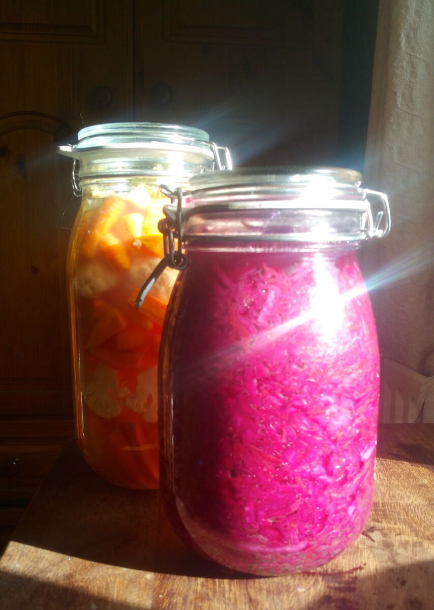 Fermented vegetables are cheap and easy to make and play a vital role in your gut health and happiness Fermented vegetables are cheap and easy to make and play a vital role in your gut health and happiness