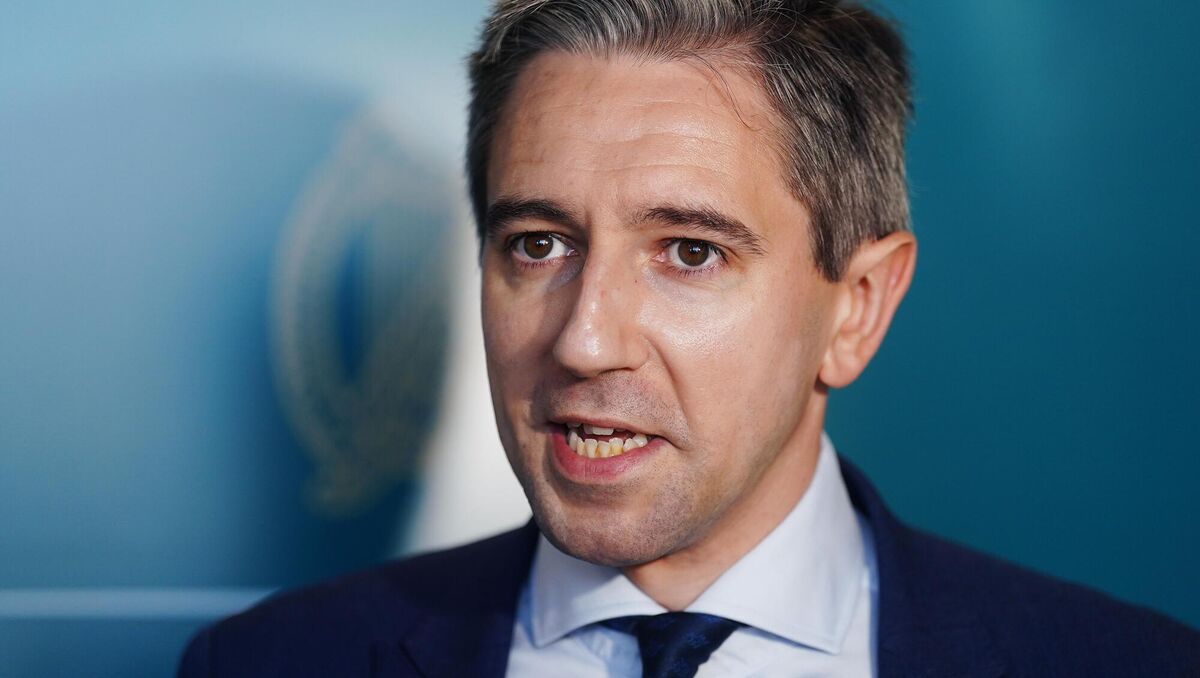 Higher Education Minister Simon Harris said the Government had helped fund the construction of 1,100 beds, with more on the way. Picture: Brian Lawless