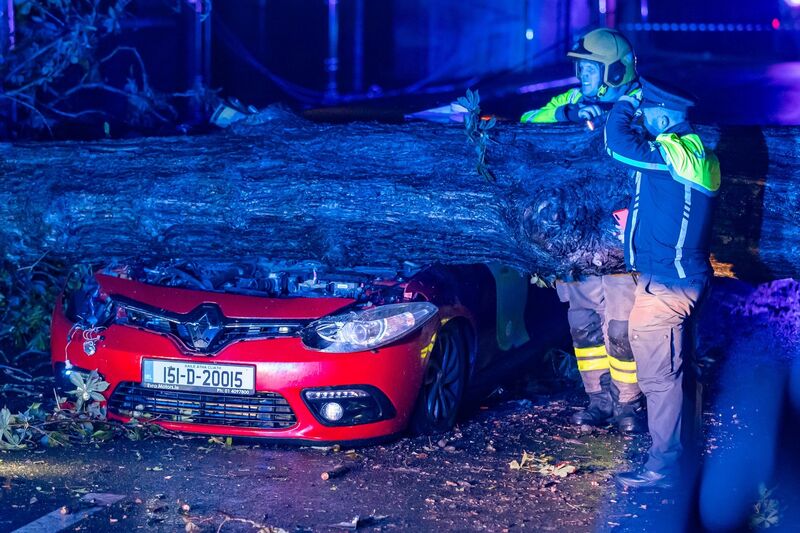 Emergency services at the scene where a driver had a miraculous escape after his taxi was crushed by a large tree while driving in Templeogue, south Dublin. Picture: Damien Storan.