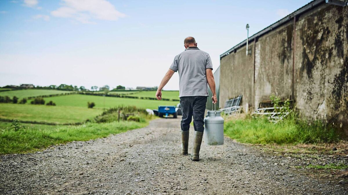 I want to sell my land but my two brothers farm it. What are my options? - Vimarsana News
