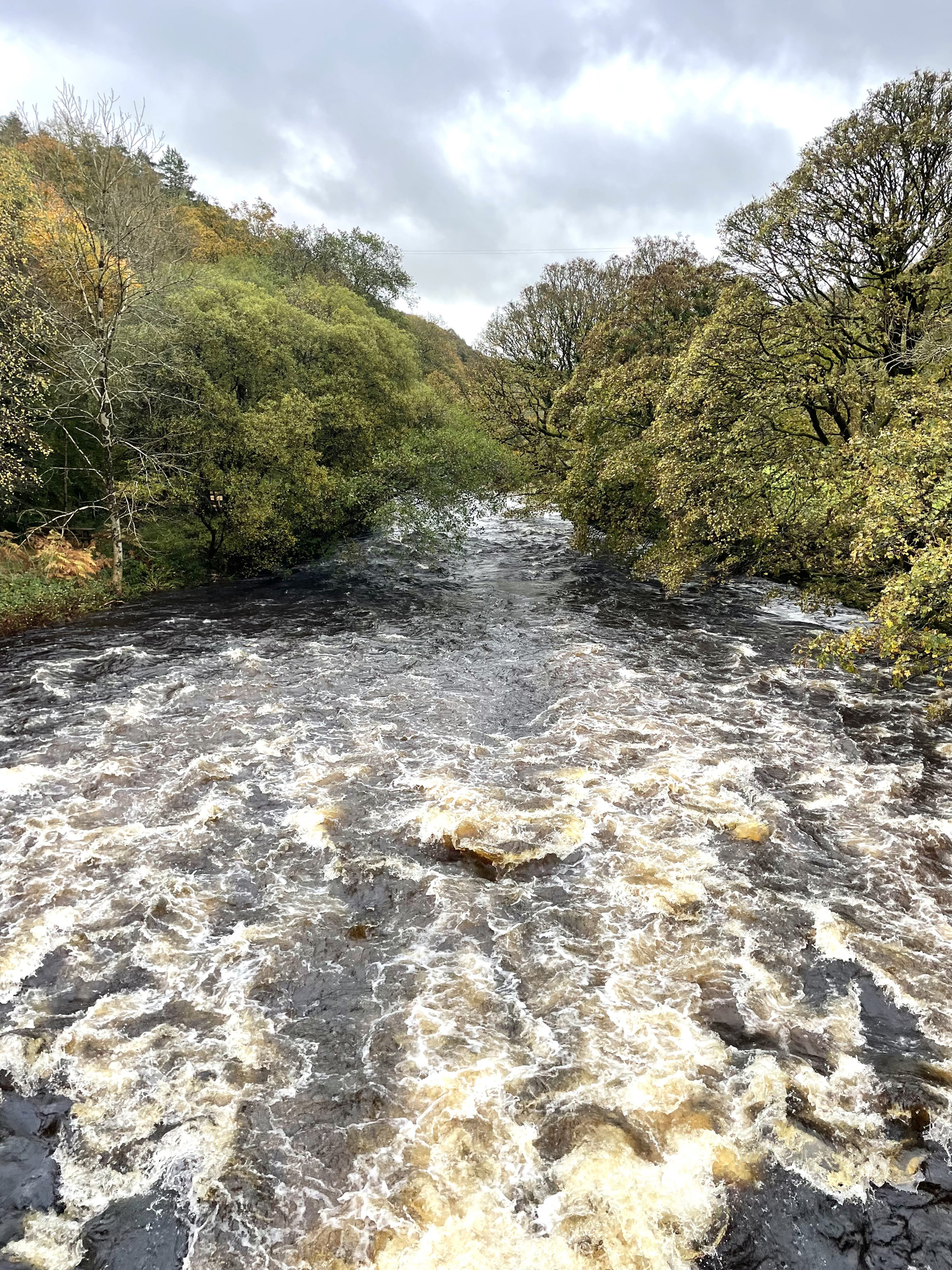 Payments for water protection to be piloted in river catchment areas