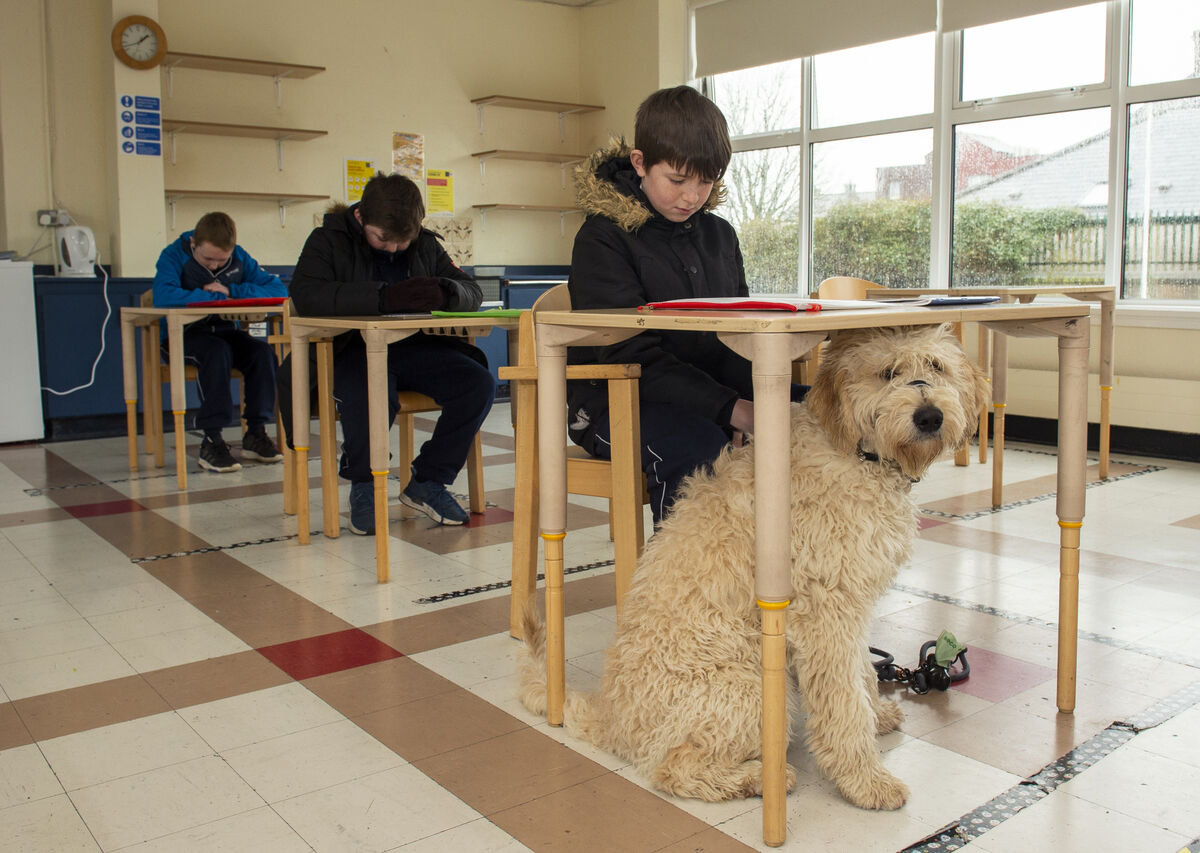 Pupils at St Killian's special school in Mayfield in 2021 with the school dog: The school has now found a community centre in Mayfield to rent, which is to be paid for by the Department of Education. Picture: Dan Linehan