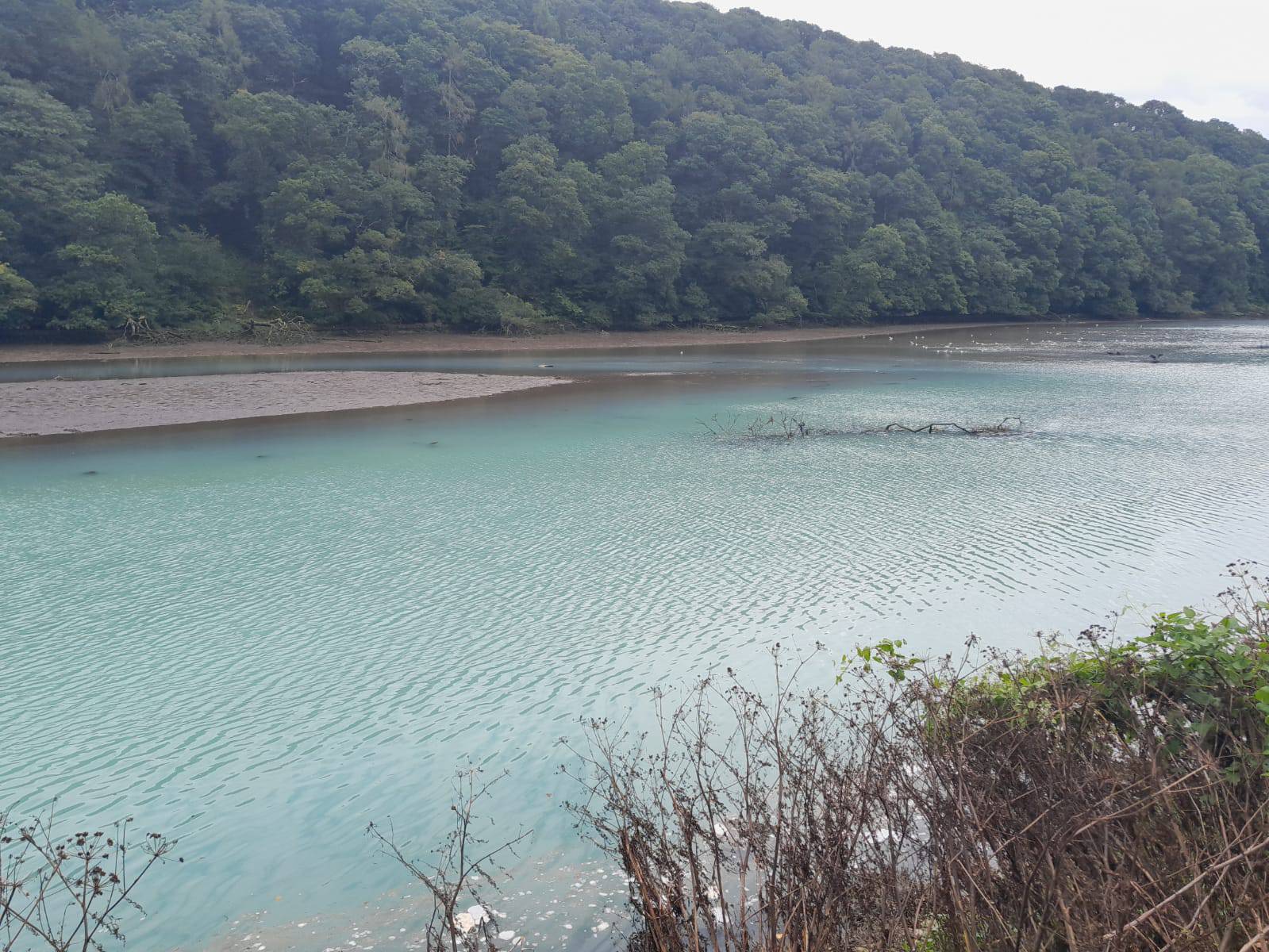 Just half of rivers and lakes in good condition