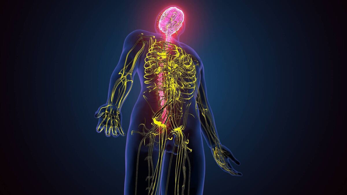 Pic: iStock Pic: iStock