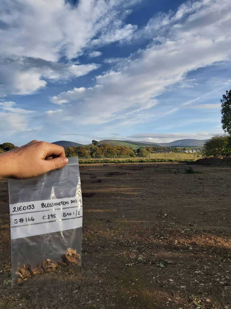 Blessington dog bones IAC. Picture: Andrew Fairbrother