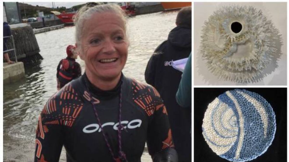 Aisling Roche on art inspired by swimming: 'I swim in Lough Ine all through the year' - Vimarsana News