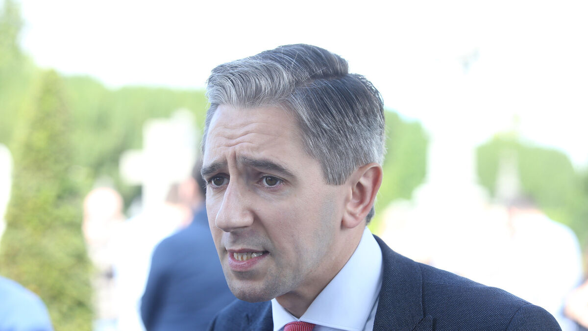 Ciara Phelan: Boundaries of Irish political landscape set to shift - Vimarsana News