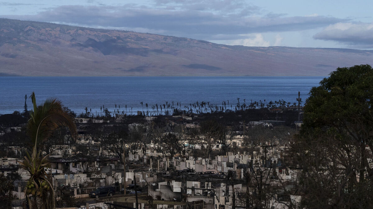 Scientific journal retracts article that claimed no evidence of climate crisis - Vimarsana News