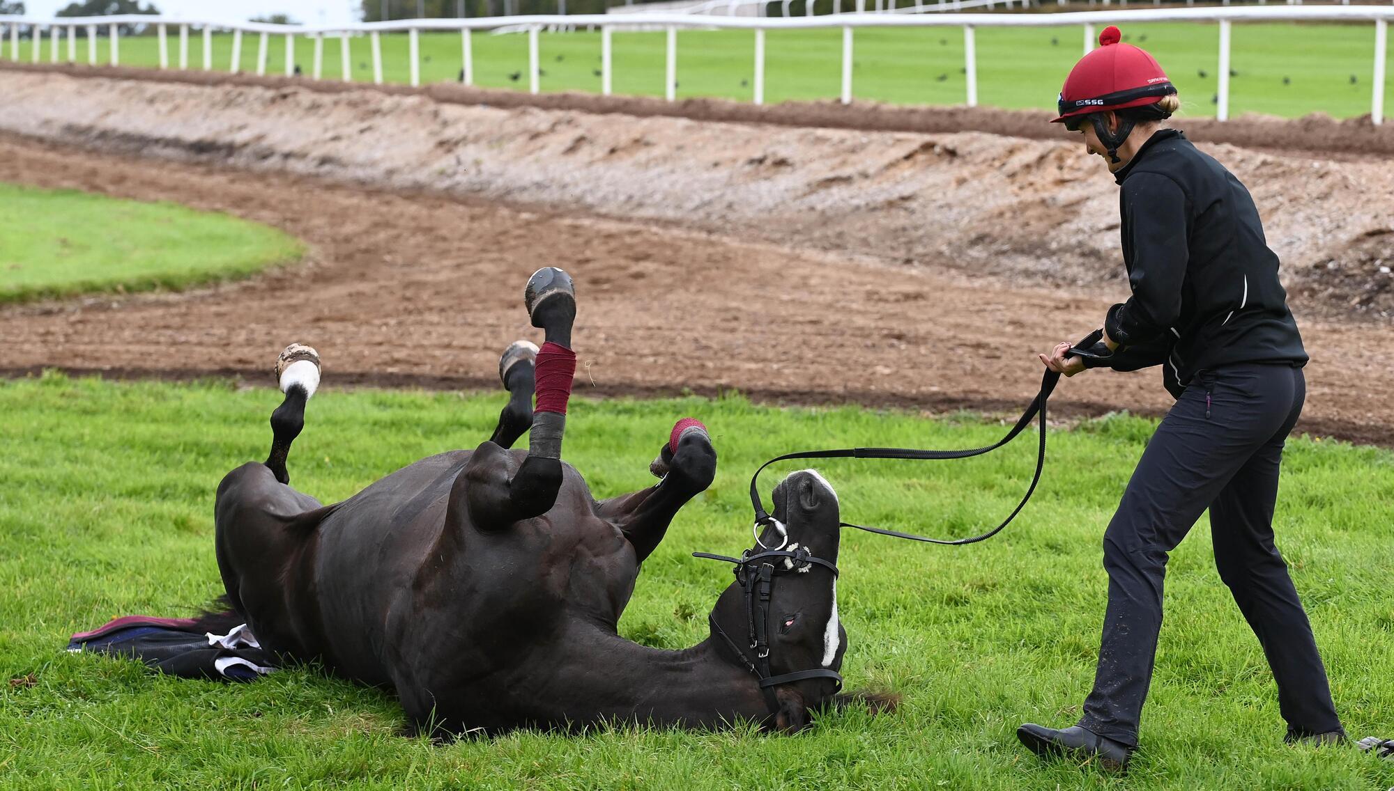 Aidan O'Brien confident Auguste Rodin will bounce back in the Irish Champion Stakes