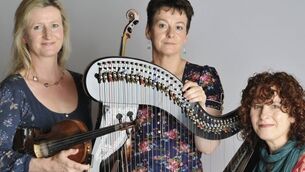 Sounds of sibling revelry