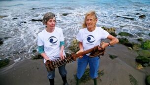 Microplastic threat: Vast floating carpet of waste particles damaging to our environment and us