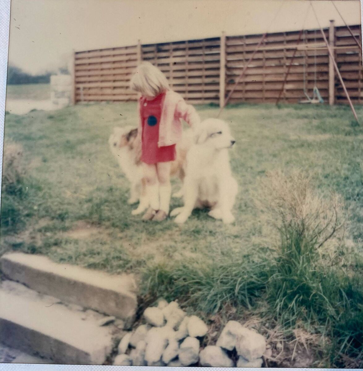 Kids and dogs held sway until the green-fingered mum got going