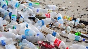 We are eating more, for less — but the cost displacement is enormous