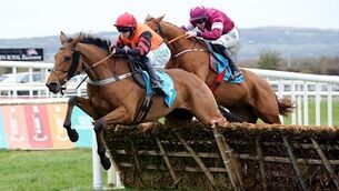 Samcro unlikely to be a Champion Hurdler