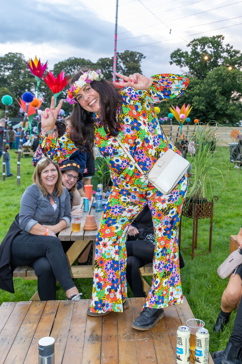 Jane Hughes from Goey, Co Wexford having a ball! Picture: Kieran Ryan-Benson