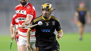 <p>BRAVE: Darragh Daly and Fermoy fought until the very last. Pic: Jim Coughlan.</p>