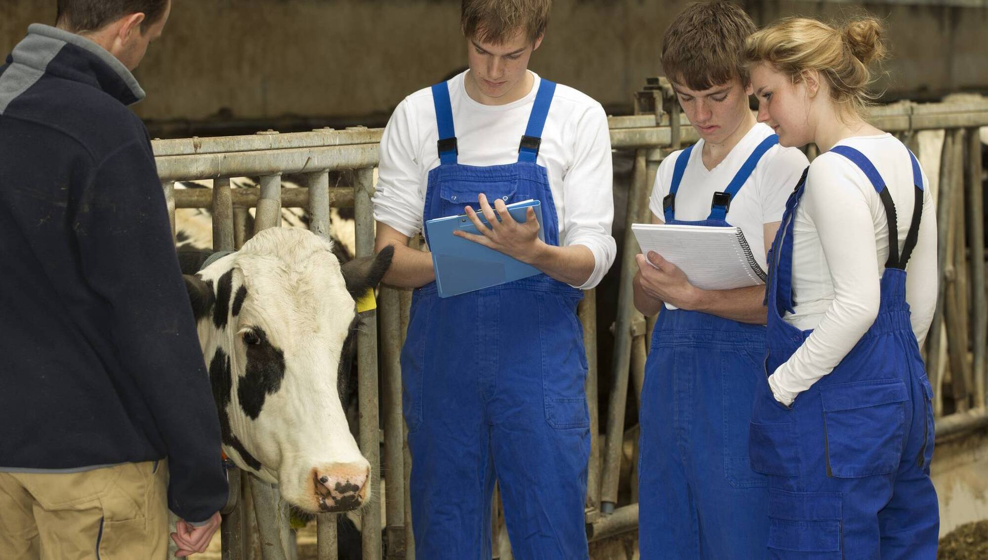 Considering a career in agriculture? Here are the courses available