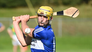 <p>IMPRESSIVE DISPLAY: Sarsfields' Aaron Myers shooting over a point against Newtownshandrum during the Co-Op Superstores Cork premier SHC at Mallow Pic: Eddie O'Hare</p>