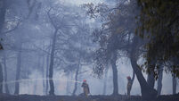 Massive wildfire in north-eastern Greece gradually abating