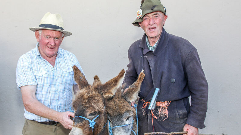 Watch: Annual Horse Fair in Tallow 