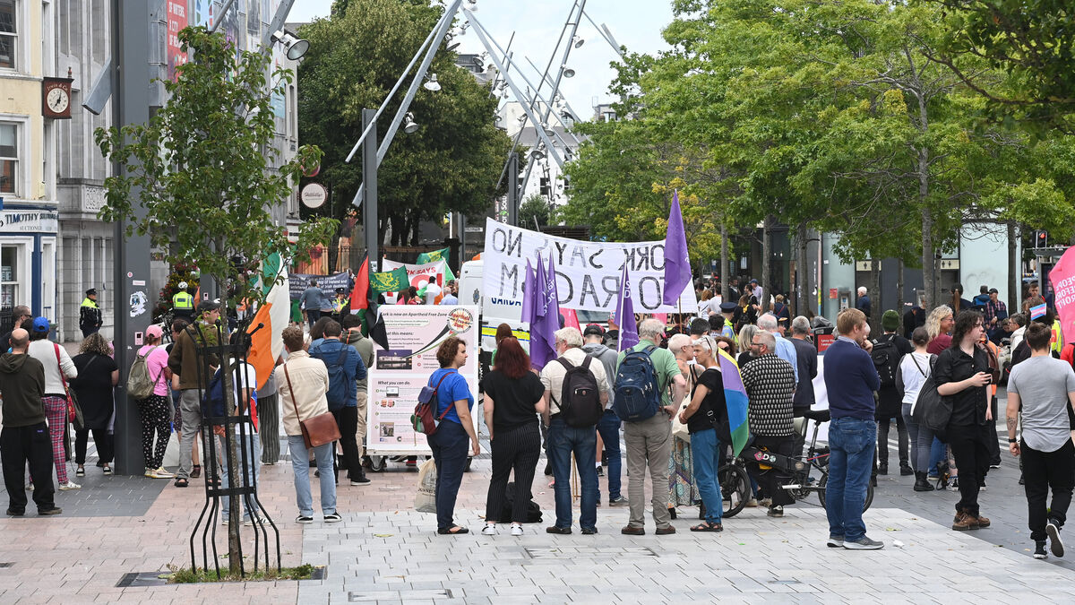 Man involved in Cork library protests charged with failing to appear in court - Vimarsana News