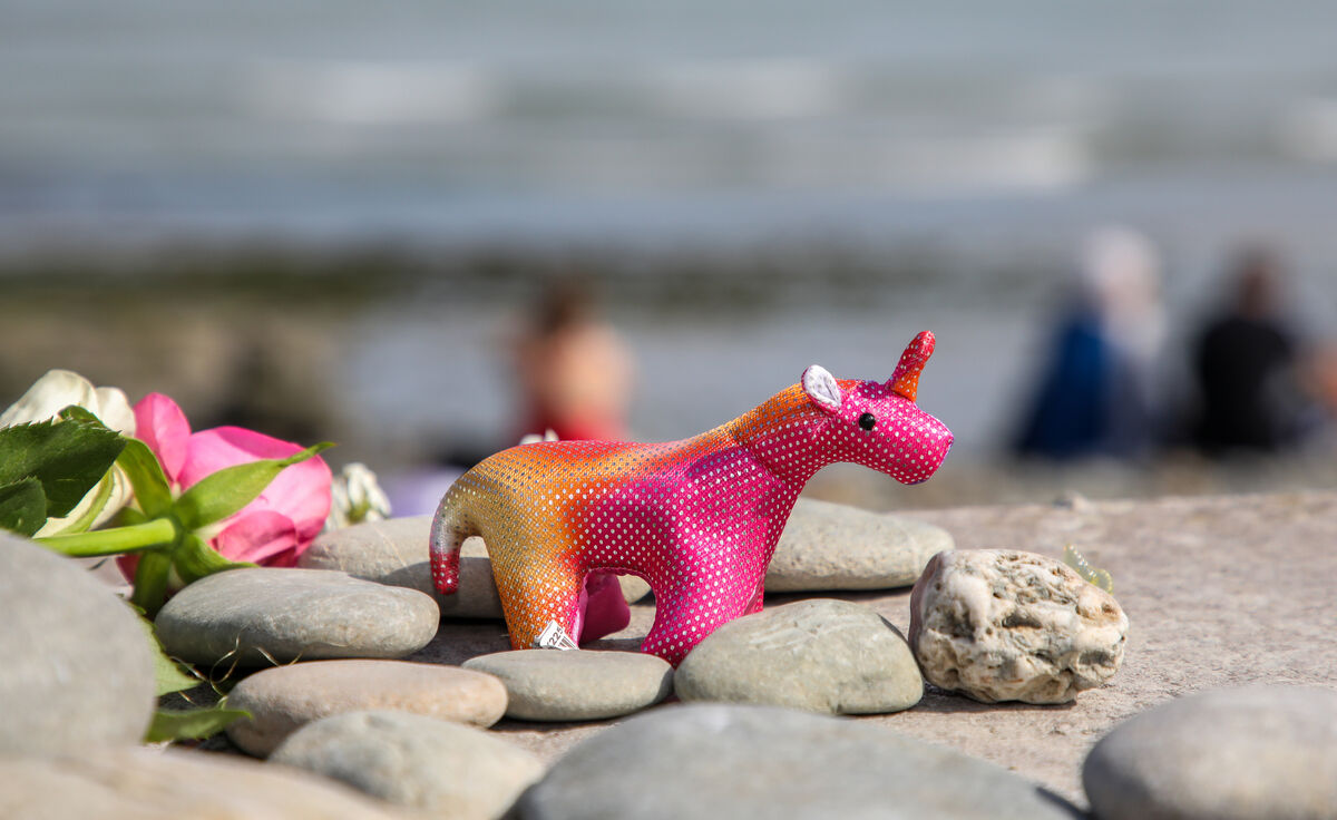 A small toy left the seafront wall as a tribute. Picture: David Creedon
