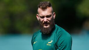 <p>ENTER SNYMAN: RG Snyman training with the Springboks. Pic Credit ©INPHO/Steve Haag</p>