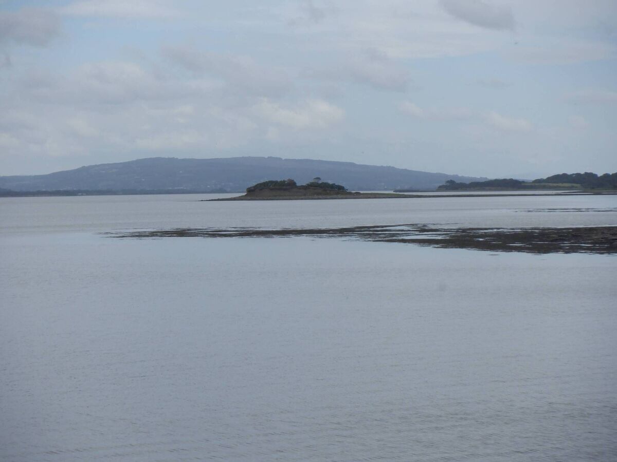 Waller's Island, County Limerick in the Shannon Estuary. Picture: Dan MacCarthy Waller's Island, County Limerick in the Shannon Estuary. Picture: Dan MacCarthy