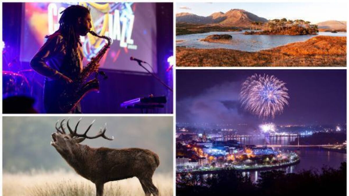 Ghosts, pumpkins, Oktoberfeis: Your guide to 30 of the best Autumn experiences in Ireland - Vimarsana News