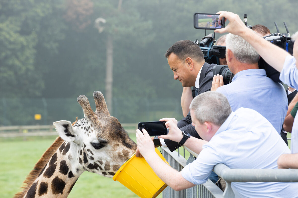 Taoiseach Leo Varadkar surrounded by press while feeding a Rothschild Giraffe during his visit to Fota Wildlife Park. Photo: Darragh Kane