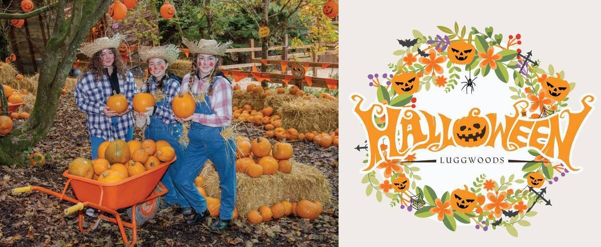 Halloween at Luggwoods