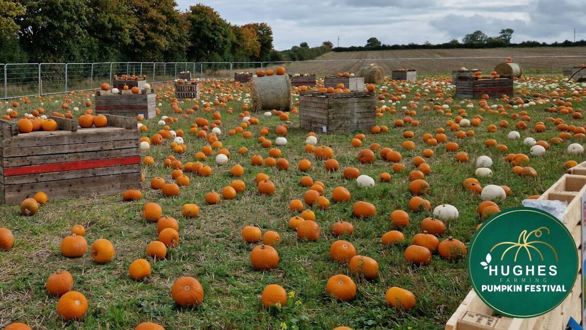 Hughes Farming Pumpkin Festival