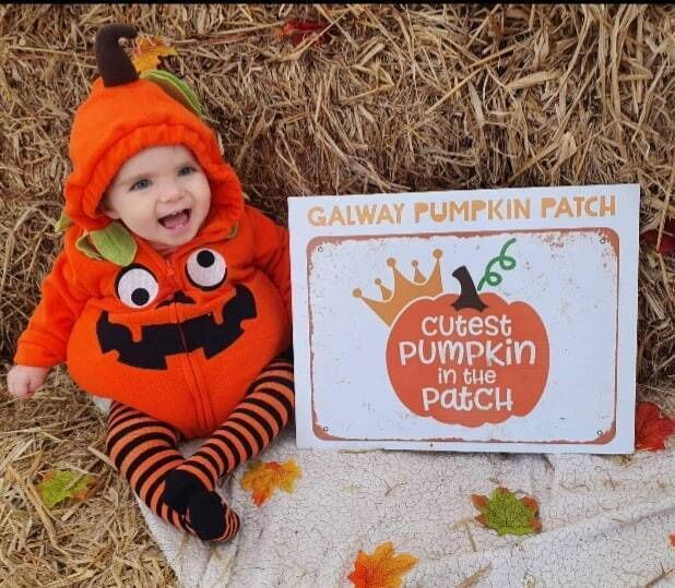 Galway Pumpkin Patch