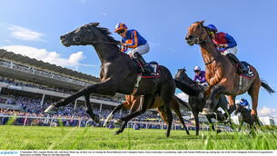 <p>WINNER: Auguste Rodin, left, with Ryan Moore up, on their way to winning the Royal Bahrain Irish Champion Stakes. Pic: Seb Daly/Sportsfile</p>