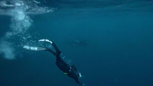 <p>NEW DEPTHS: The Deepest Breath is unlikely to act as a recruiting tool for the pursuit it depicts. </p>