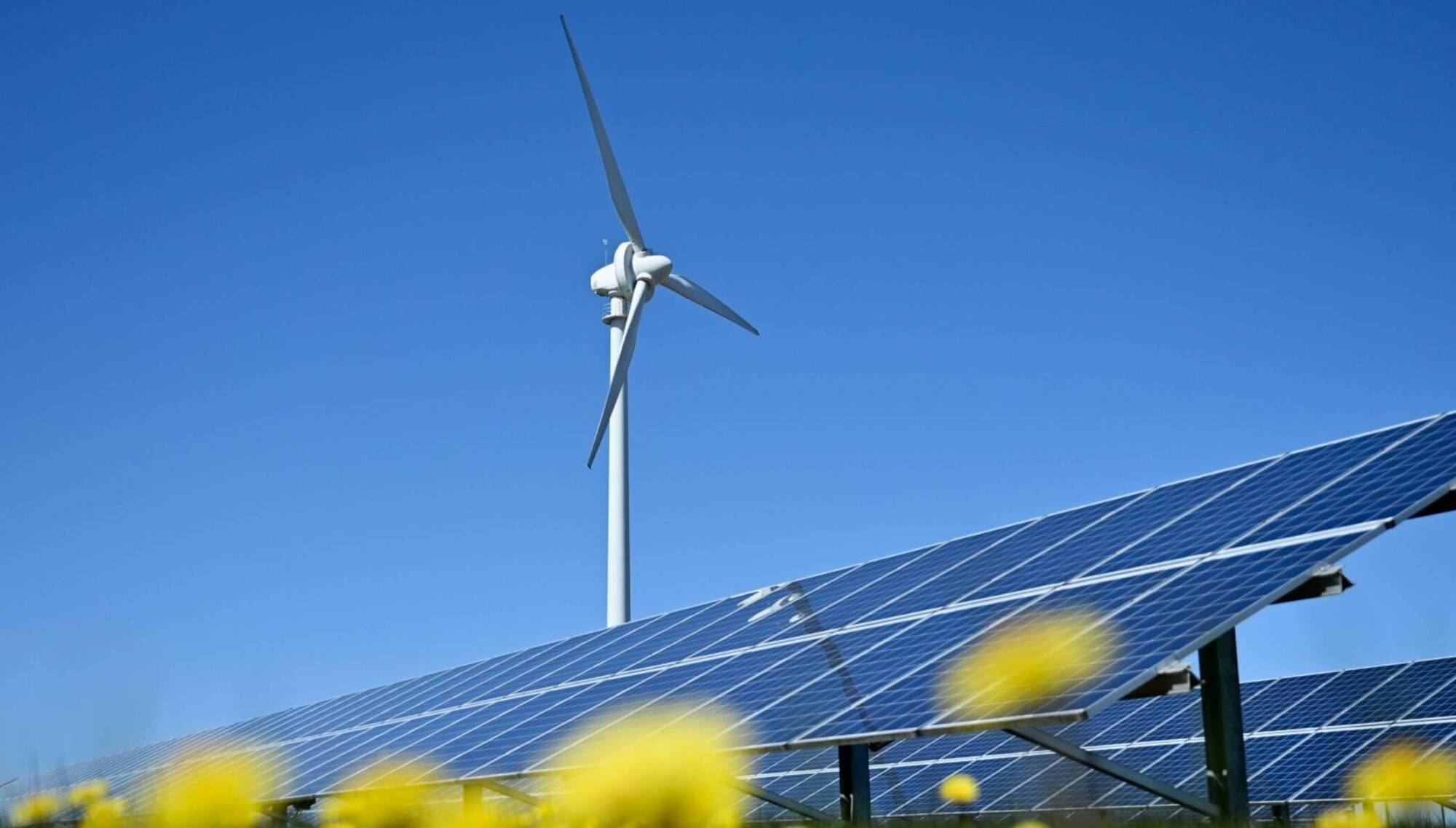 Concerns grow around the next auction for renewable energy
