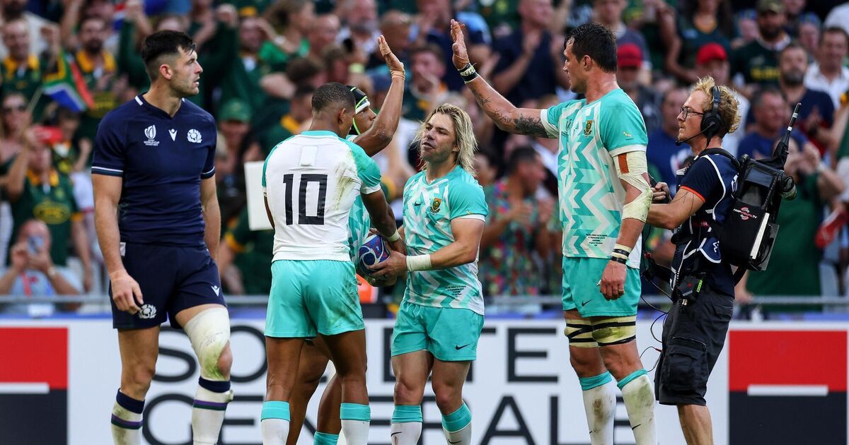 Springboks get their World Cup defence off to a winning start against ...