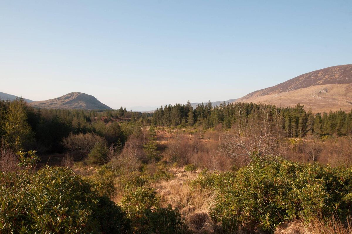 Wild Nephin National Park is well worth a visit while you're in Mayo, Wild Nephin National Park is well worth a visit while you're in Mayo,