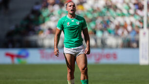 <p>IRISH SUPPORT: James Lowe finds the Irish support is phenomenal but is too scared to go outside half the time. Pic:©INPHO/Laszlo Geczo</p>
