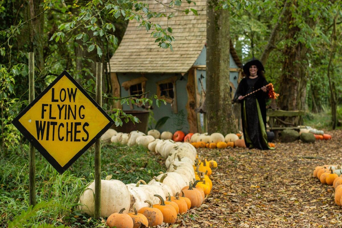 Ballycross Apple Farm Halloween Experience