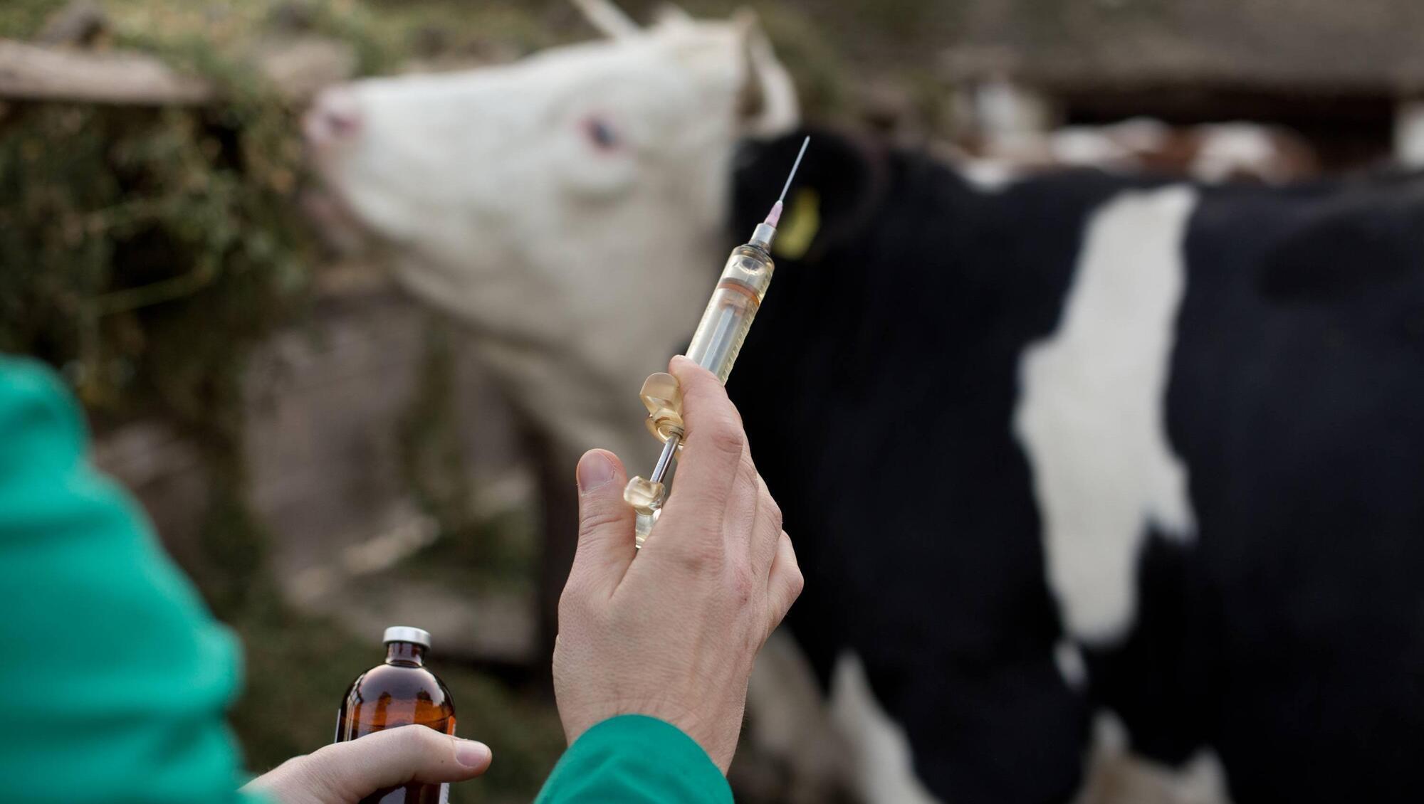 With thoughts of housing, it is also time to think about when to vaccinate