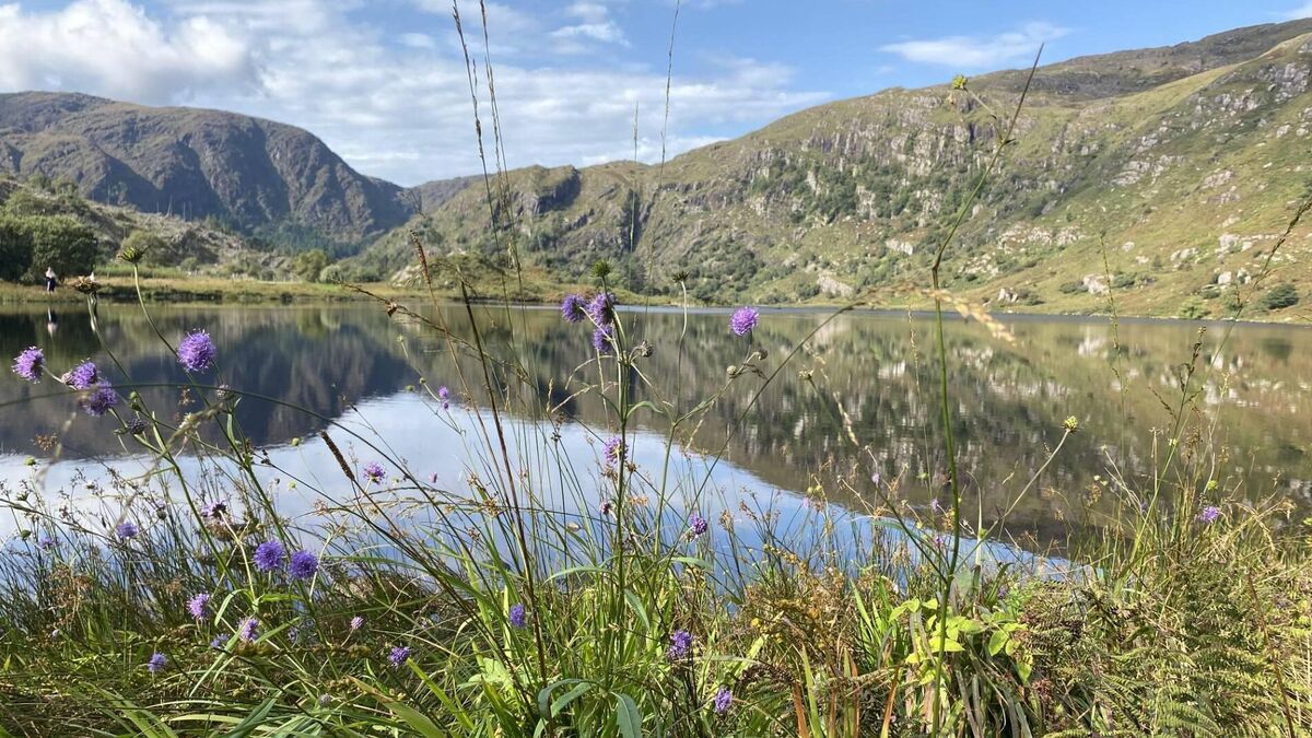 Anja Murray: Time in nature is such a powerful antidote to feelings of frustration and helplessness - Vimarsana News