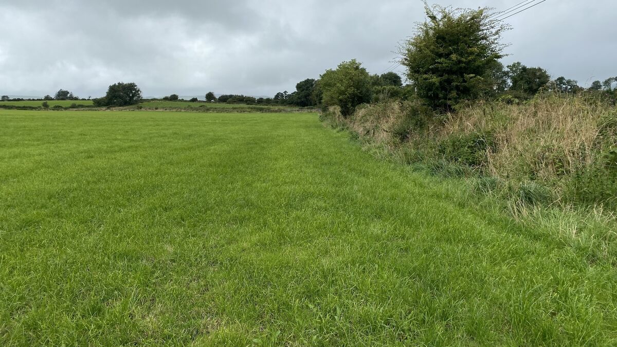 €17k an acre sought for 16.5-acre block west of Cork City - Vimarsana News