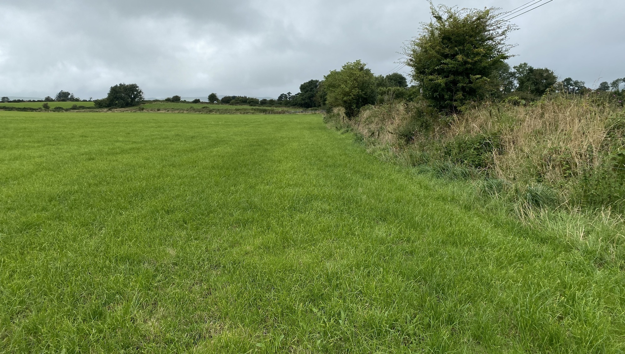 €17k an acre sought for 16.5-acre block west of Cork City